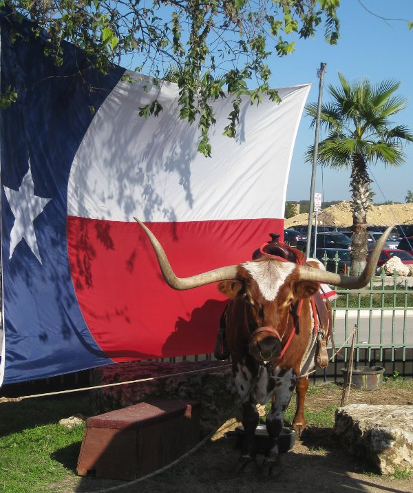 austin_longhorn.jpg